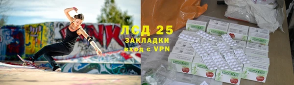 PSILOCYBIN Новодвинск
