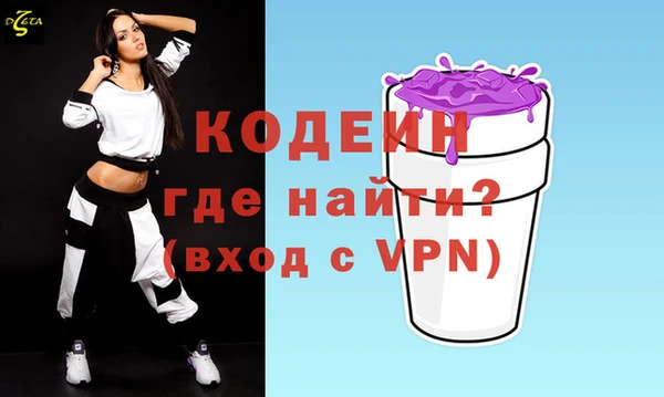 индика Белая Холуница