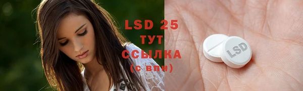 PSILOCYBIN Новодвинск