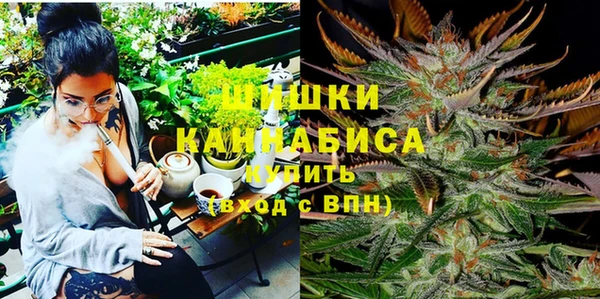 PSILOCYBIN Новодвинск
