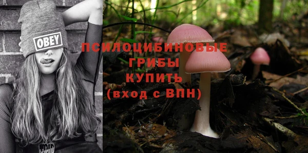 синтетический гашиш Новозыбков