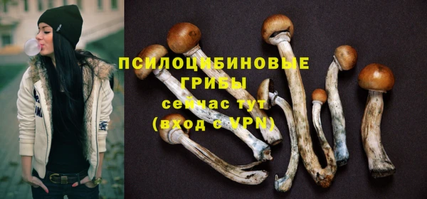 синтетический гашиш Новозыбков