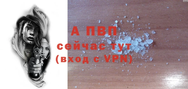 PSILOCYBIN Новодвинск