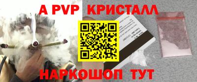 прущие грибы Можайск