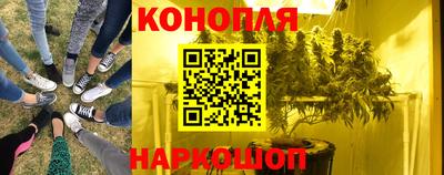 гашик Балашиха