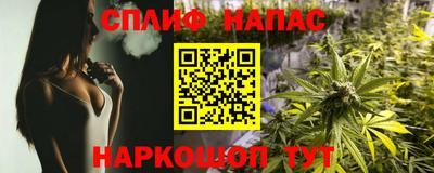 Альфа ПВП Моздок