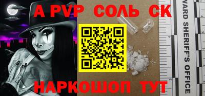 Альфа ПВП Моздок