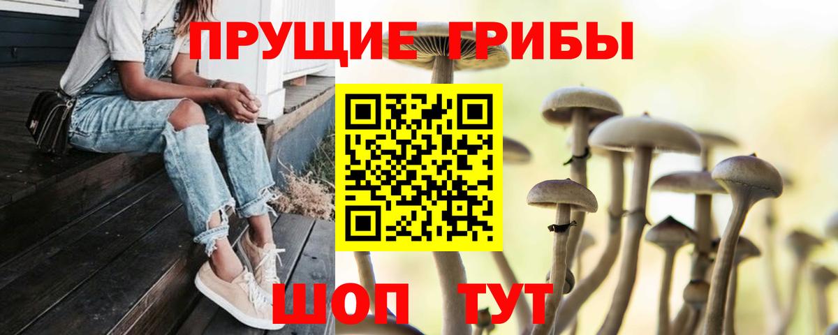 Галлюциногенные грибы мицелий Мурино