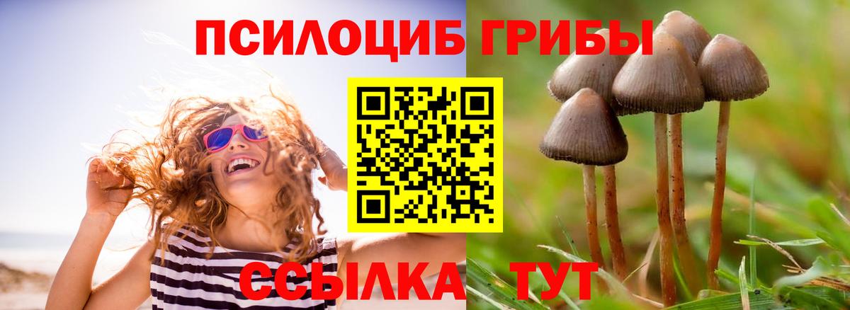 закладка  Галлюциногенные грибы Psilocybe  Вход с VPN  Галлюциногенные грибы ЛСД  Мурино 