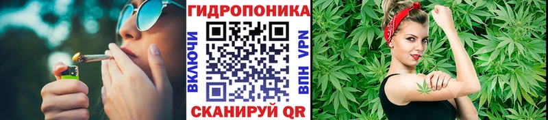 что такое   Мурино  Конопля THC 21% 